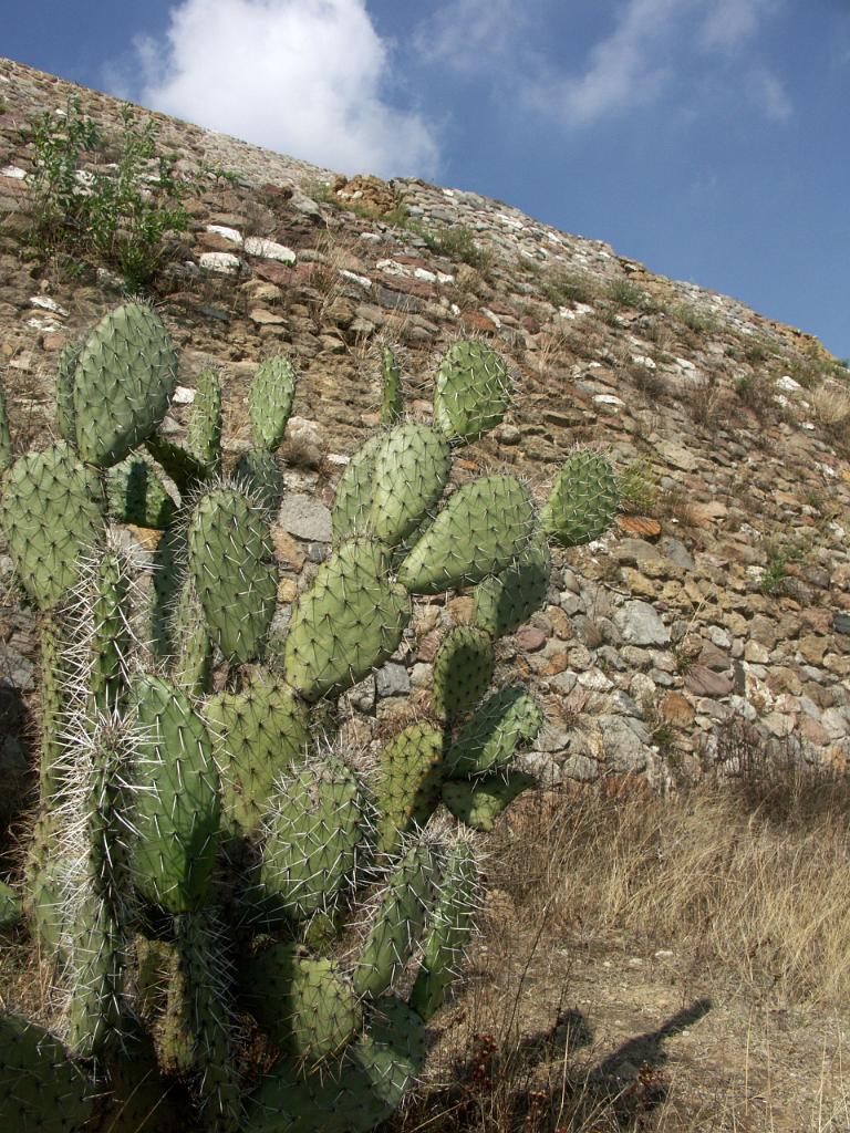 100213_Cacaxtla 152.JPG